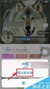微信怎么移除黑名单 游戏猫怎么移除黑名单