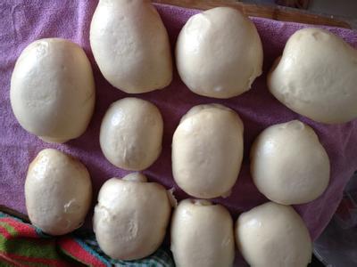 怎样蒸馍头 用纯奶怎么蒸馍头?