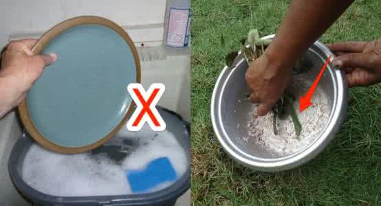 苹果七掉水池里了 【?技巧】苹果吃完不要丢,水池去污一把抓~!