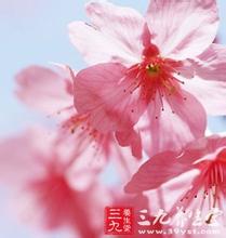 野心 短视频 野心大寿命会更短