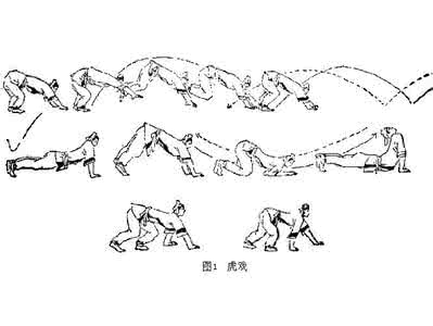 健身气功五禽戏带口令 华佗五禽戏 华佗健身气功五禽戏之虎戏一二式虎守杏林和出穴窥探图解