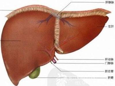 肝囊肿是怎么回事 肝囊肿是怎么回事 肝囊肿是怎么回事 肝囊肿的生活保健