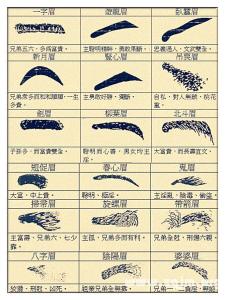 男人眉形图解 眉形 图解