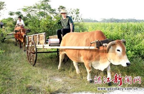 交警查扣最牛小车 这也叫“车”——没有最牛，只有更牛（图