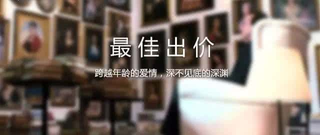 美国惊悚悬疑电影 美国惊悚/悬疑剧情电影《占领美国》中字译制片