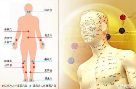 神奇动物在哪里特效 神奇的人体特效保健穴