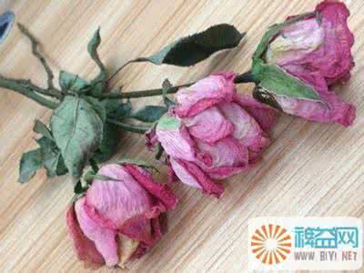 玫瑰干花制作 干花制作 【乐趣】怎样制作玫瑰干花 精