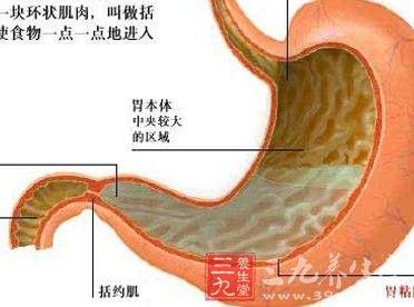 查克拉聚集脚底 最难聚集查克拉的部位 肉类的几个部位病菌聚集千万要注意