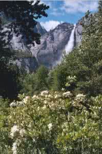 人一生要去的50个地方 一生要去的Yosemite Park