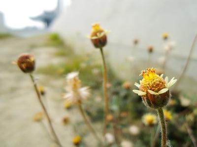 景深镜头 摄影镜头:景深是什么