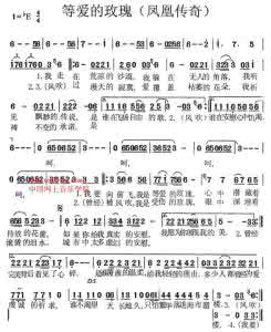 等爱的玫瑰简谱 等爱的玫瑰简谱 等爱的玫瑰