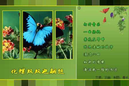 化蝶 化蝶双双也翩跹