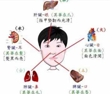 五官与五脏的关系 五官与五脏的关系 五官辨疾病 五官不舒服预示的五脏疾病