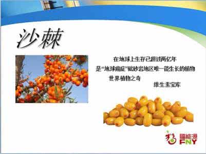 葵花护肝片脂肪肝 沙棘能有效护肝,并且可防治脂肪肝