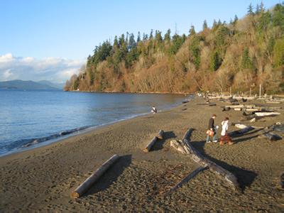 温哥华海滩 温哥华夏季的海滩