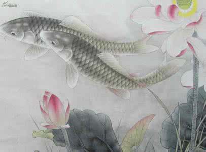 工笔画鱼的画法 工笔画鱼的画法 详细解读工笔画中畜兽画法