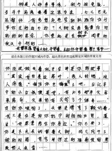 南京中考满分作文 2008年南京中考满分作文：寻作文900字