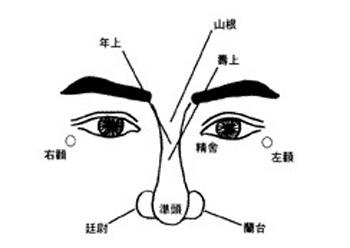 各种鼻子面相 鼻子面相图