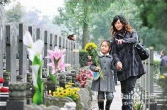 宅男宅女福利电影院 宅男去哪儿 宅男宅女们,清明节你们去哪儿?