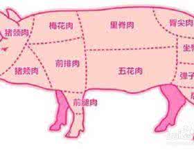 五花肉买哪个部位好 五花肉是哪个部位