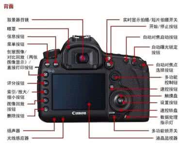 佳能单反相机哪款好 佳能单反5D和1D MarkⅢ哪个好