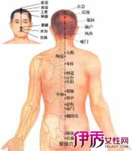 人体背部有哪5条经络  【经络养生】人体背部有1个穴位 不仅治感冒还能缓解过敏性鼻炎、哮喘