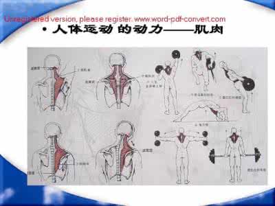 军人体能训练常用方法 体能训练的方法