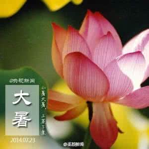 大暑是最热的时候吗 为什么大暑的时候最热
