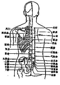 艾灸疗法适应症 艾灸疗法的适应症之气血两亏