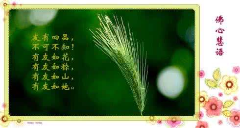 佛心慧语 【佛心慧语】善良是本性