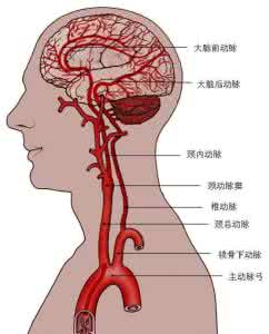 改善脑部血液循环的药 改善脑部血液循环的方法