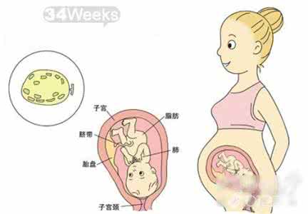 怀孕34周做什么检查 怀孕34周饮食注意事项