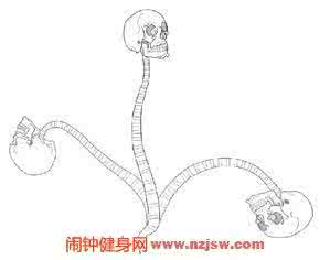 治腰肌劳损的偏方 腰肌劳损运动疗法