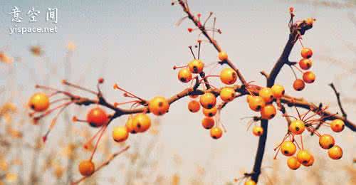 让宽容走进心灵作文 宽容别人，其实是给自己的心灵让路