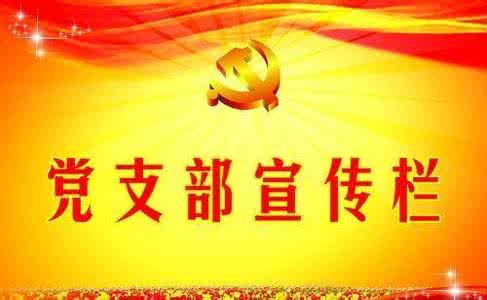 党支部年终总结 村级支部年终总结