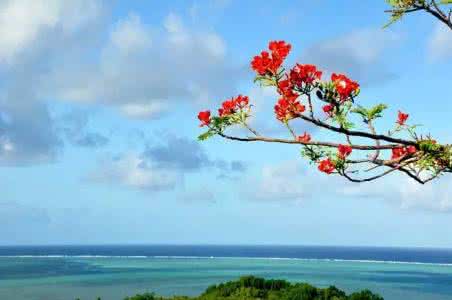 面朝大海春暖花开 面朝大海，春暖花开【情感美文】