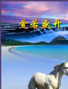 百花盛开的美景的句子 爱若盛开，美景自来