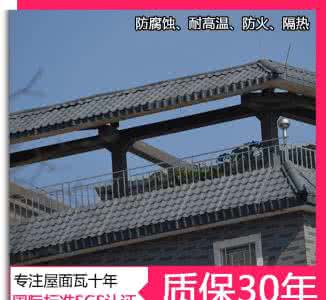 围墙绿化 自由是一座需要围墙的绿屋顶