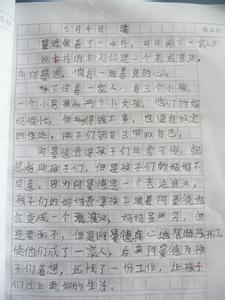 桥下一家人读后感100字 桥下一家人读后感