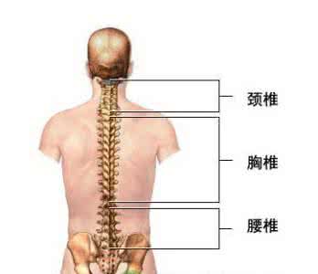 医治强直性脊柱炎症状 强直性脊柱炎的症状 强直性脊柱炎怎么治