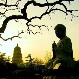 梦参老和尚 梦参老和尚：跟人结怨痛苦过日，不如原谅包容过日