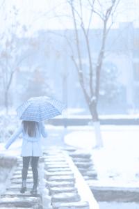 青岛今天下雪了吗 下雪天看这个，应该更有感觉！