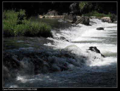 鹭岛小夜曲普 鹭岛小夜曲