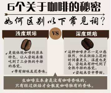 秘密咖啡影像 6个有关咖啡的秘密，知道 3 个以上的都不是一般人！ - 今日头条(TouTiao.com)
