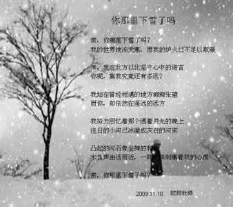 描写暴风雪的句子 描写大风的经典句子 暴风雪愈来愈猛_600字