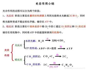 高中生物知识顺口溜 高中生物知识顺口溜 小学数学基础知识顺口溜，多读几遍孩子轻松拿高分!