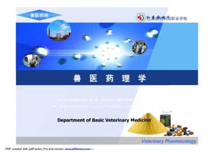 ppt培训课件 ppt培训课件 PPT课件培训_ppt培训课件