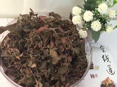 中草药人参 【深度科普】中草药之旅之——药王之人参！