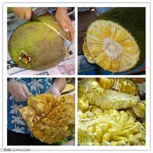 菠萝蜜怎么切视频教程 菠萝蜜怎么切