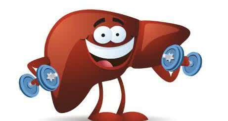 怎样养肝护肝效果最好 秋季如何养肝护肝